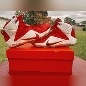 Nike LeBron James XII 12 "Heart Of A Lion" University Red  Men's size 10.5